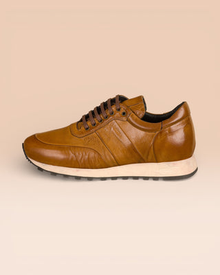 BALDI H900 - benheart.it