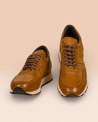 BALDI H900 - benheart.it