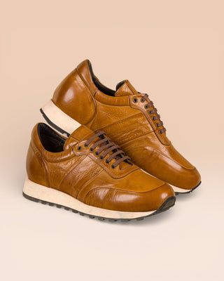 BALDI H900 - benheart.it