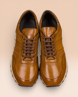 BALDI H900 - benheart.it