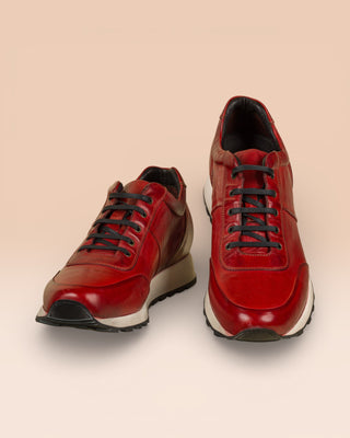 BALDI H900 - benheart.it