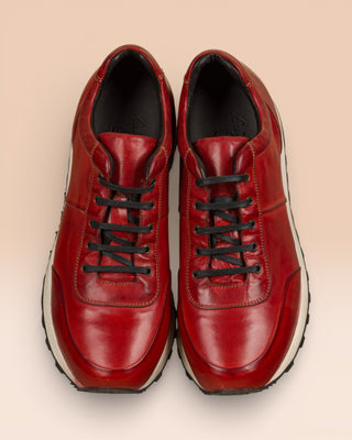 BALDI H900 - benheart.it