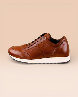 BALDI H900 - benheart.it