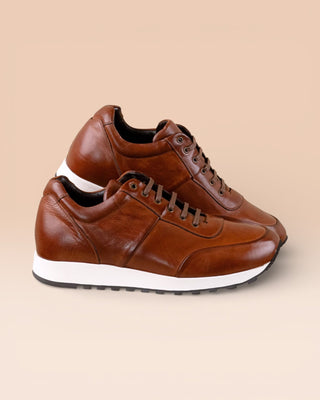 BALDI H900 - benheart.it