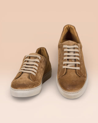 Benheart Leclerc men’s taupe suede leather low-top sneakers, front angled and top view.