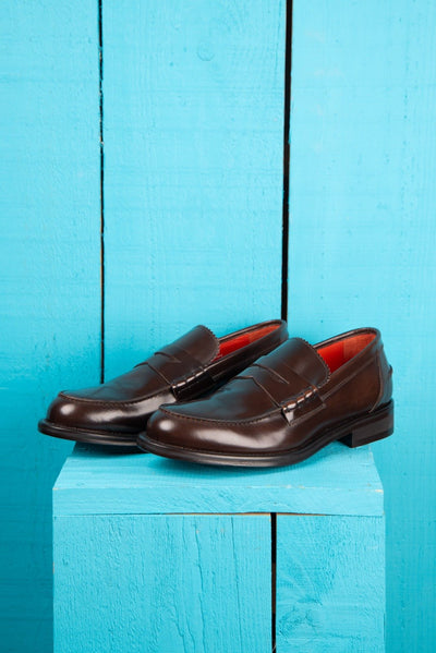 Benheart Toro Penny Loafer in polished cordovan leather, dark brown testa di moro, front angled view